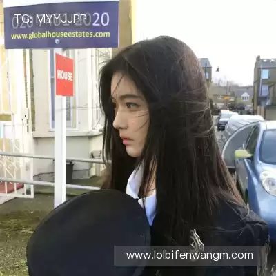 魏维戈